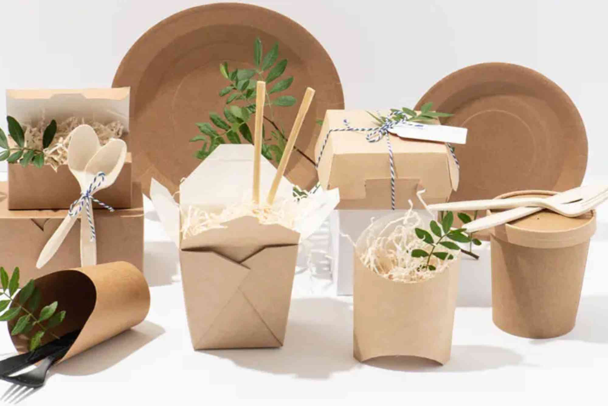 Sustainable CBD Packaging Boxes – Eco-Friendly Solutions for Modern Brands.