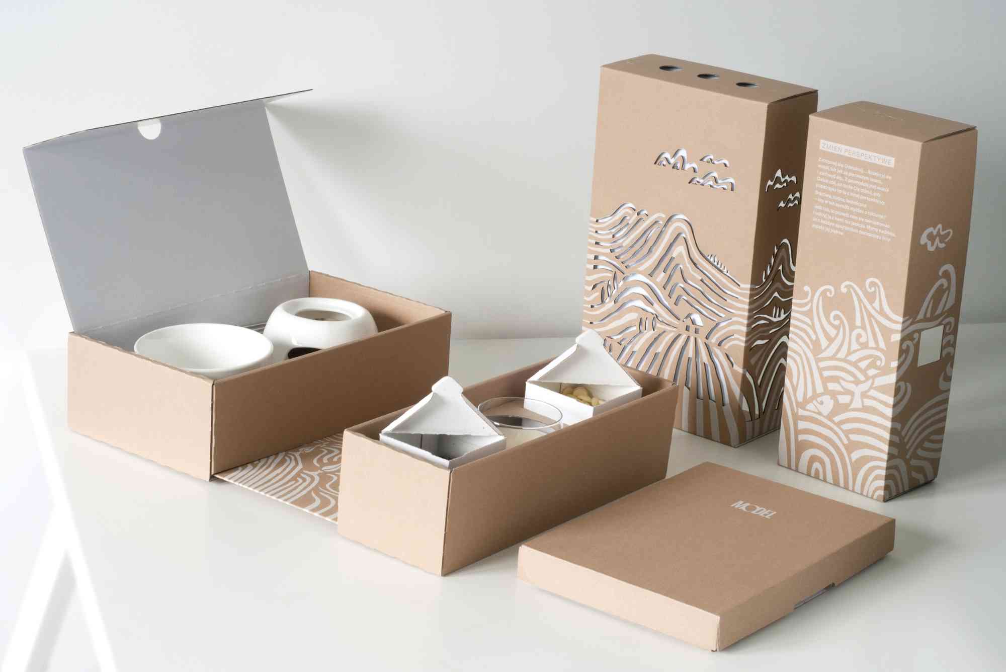 The Impact of Minimalist Designs on Cardboard Packaging Trends.