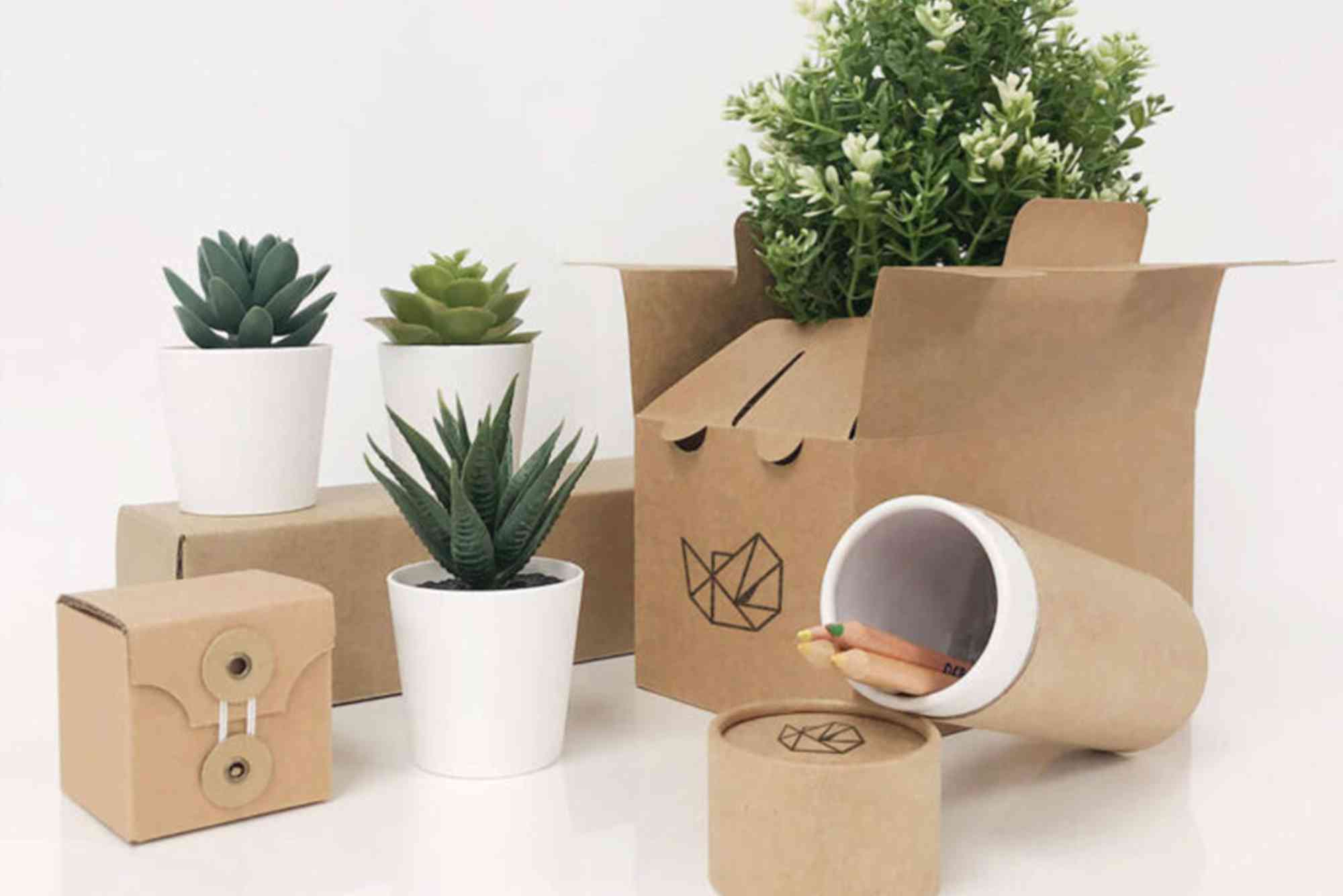Eco-Friendly Cardboard Packaging Options for Sustainable Branding.