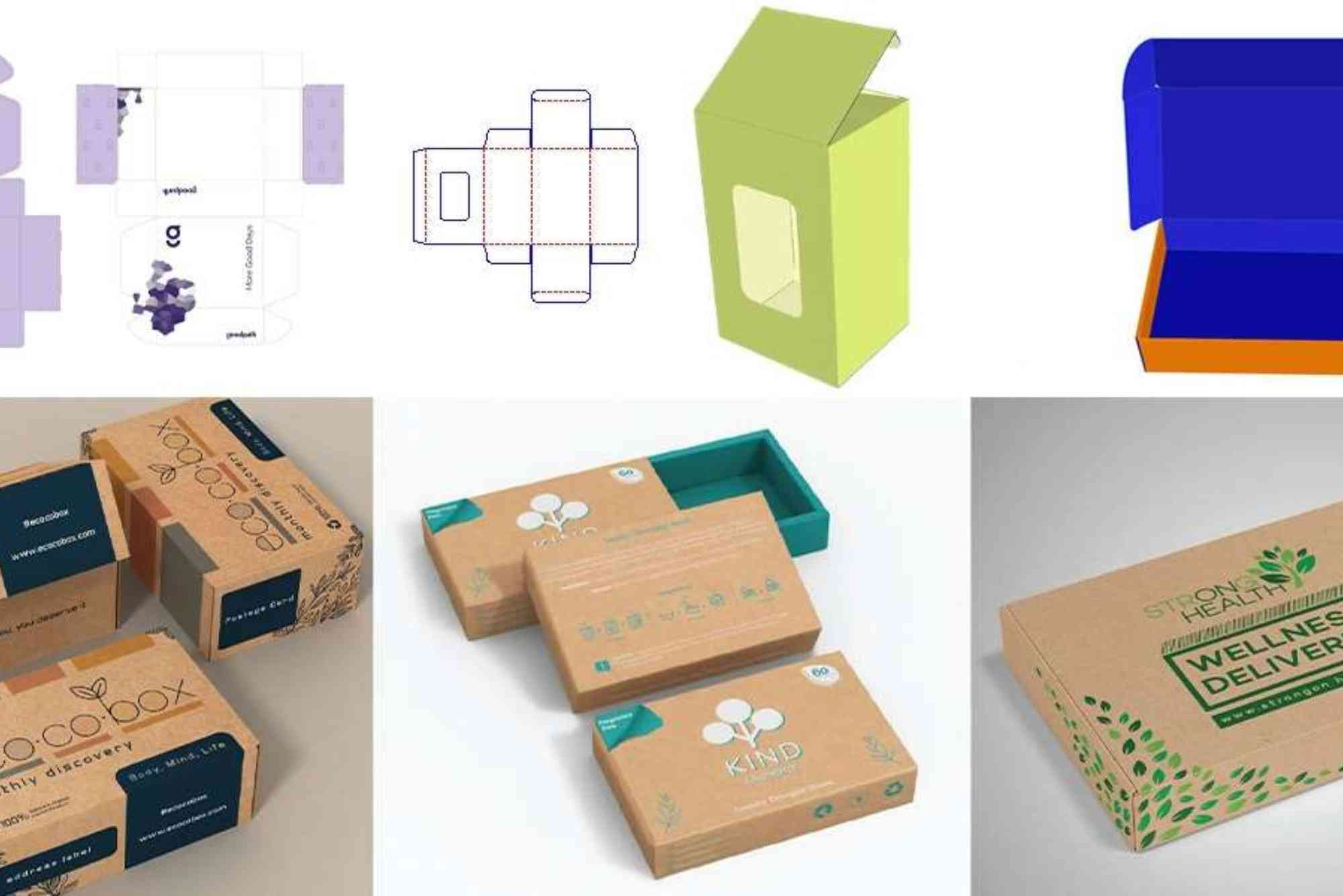 Packaging Design And Print Template