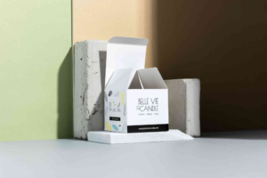 Packaging Design Cost