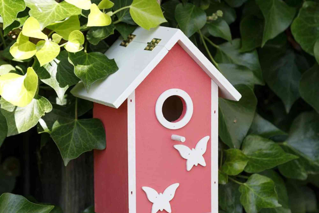 Bird Box Designs Uk