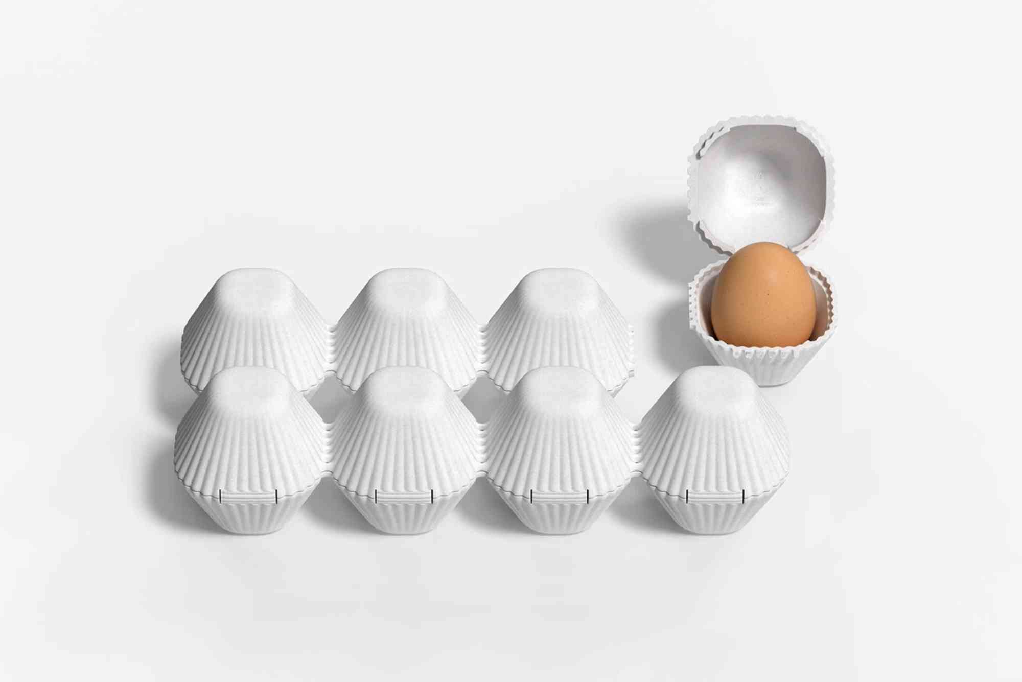 Egg Packaging Design Template