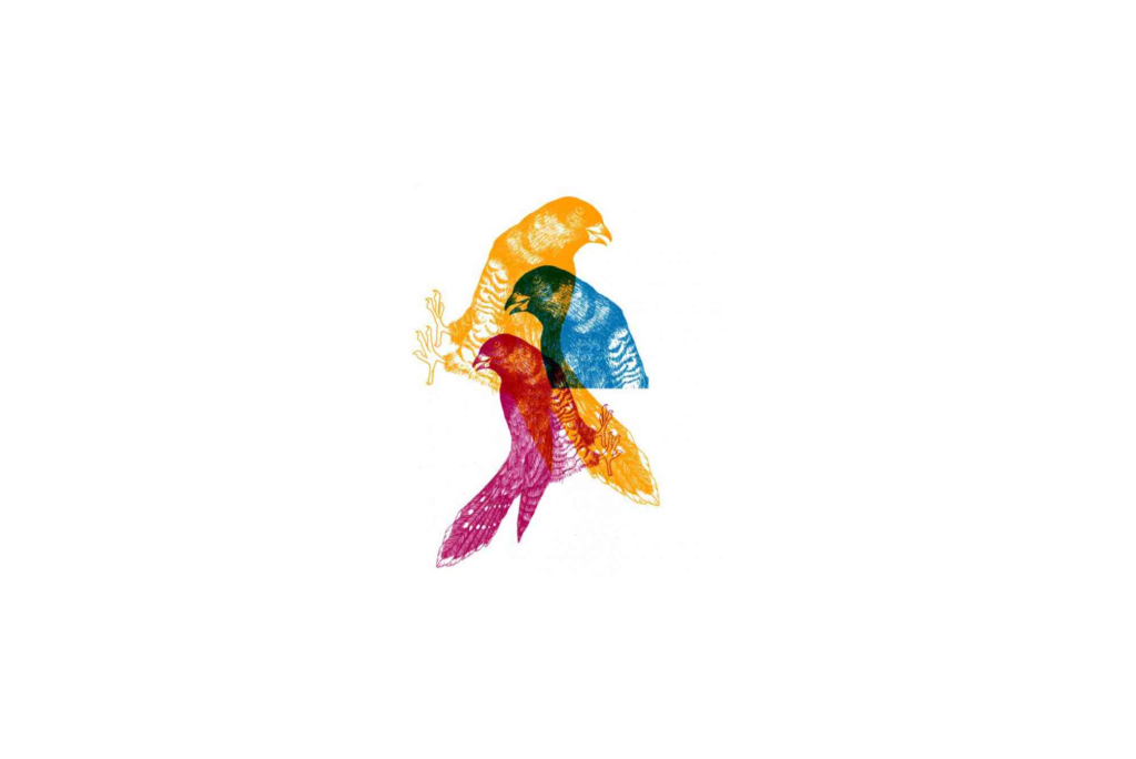 Screen Printing Designer