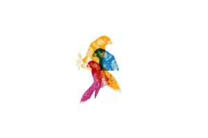 Screen Printing Designer